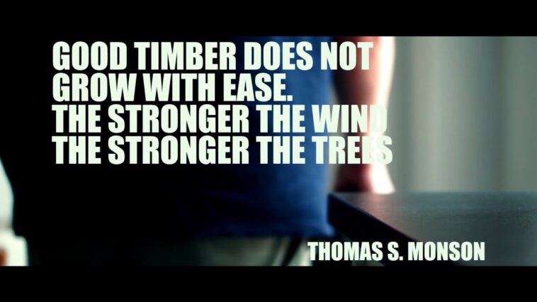 Will we meet Venti again?