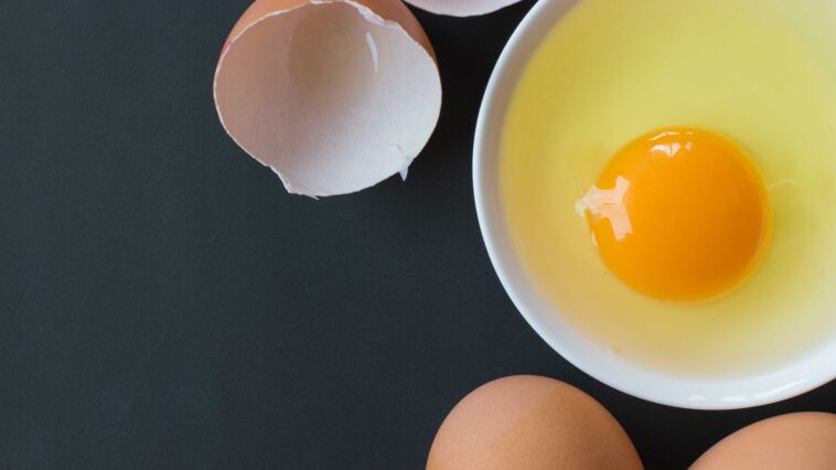 Are 4 eggs enough protein?
