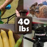 Are 40 pounds heavy?