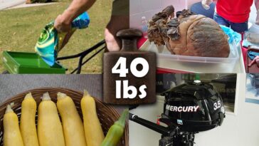 Are 40 pounds heavy?