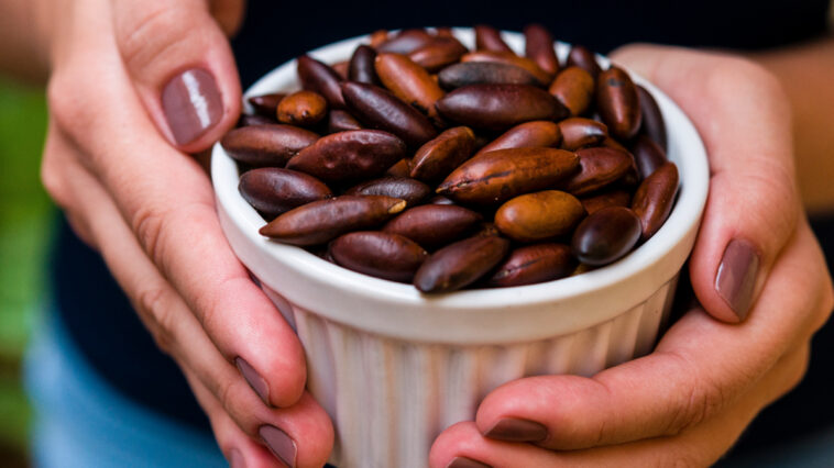 Are Baru nuts healthy?