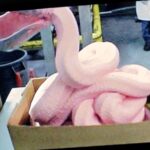 Are McDonald's chicken nuggets made out of paste?