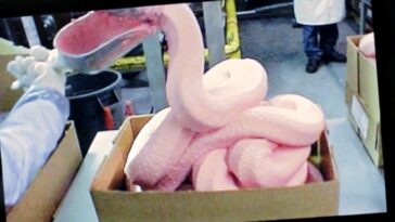 Are McDonald's chicken nuggets made out of paste?