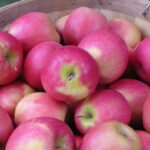 Are Pink Lady apples good for you?