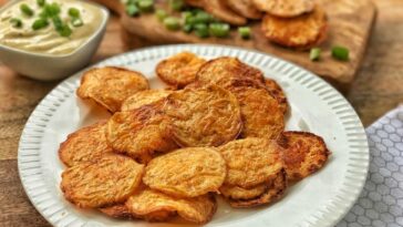 Are Terra chips Low carb?