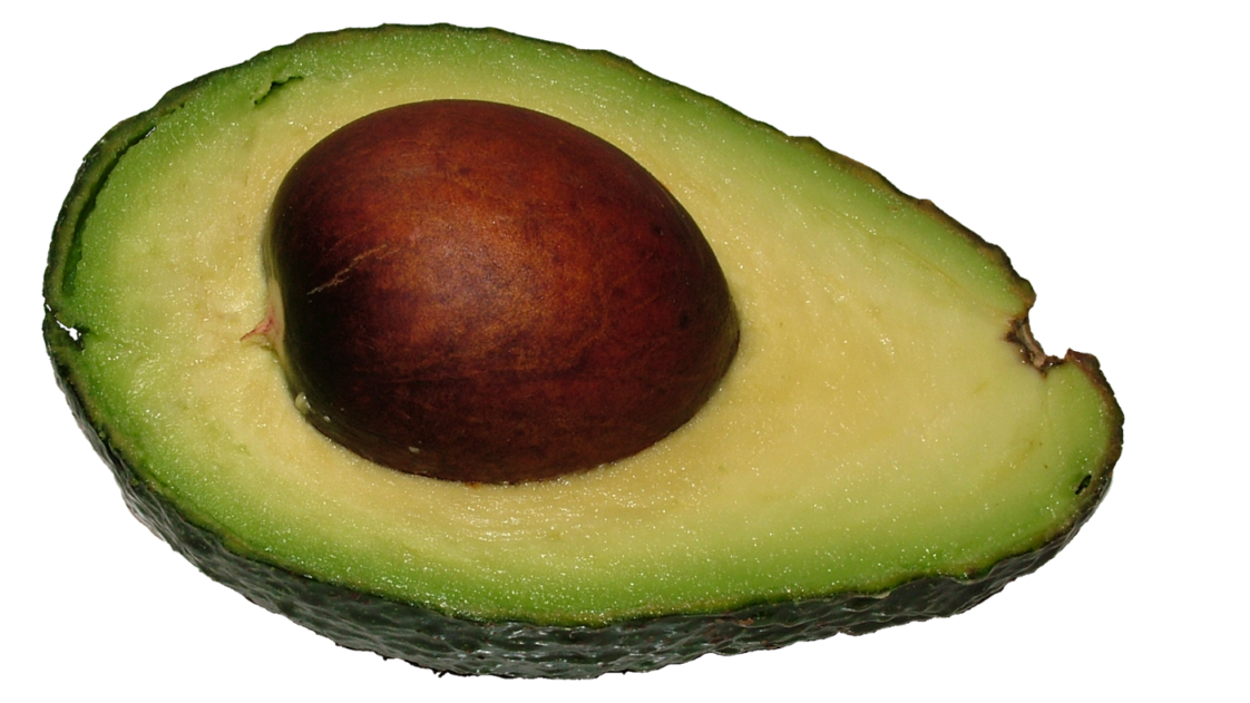 Are avocado leaves poisonous?