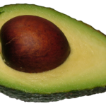 Are avocado leaves poisonous?