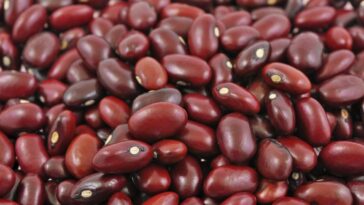 Are beans good for weight loss?