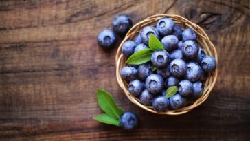 Are blueberries good for insulin resistance?