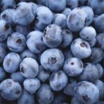 Are blueberries prebiotic?