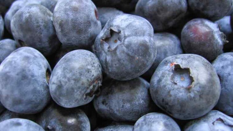 Are blueberries very acidic?