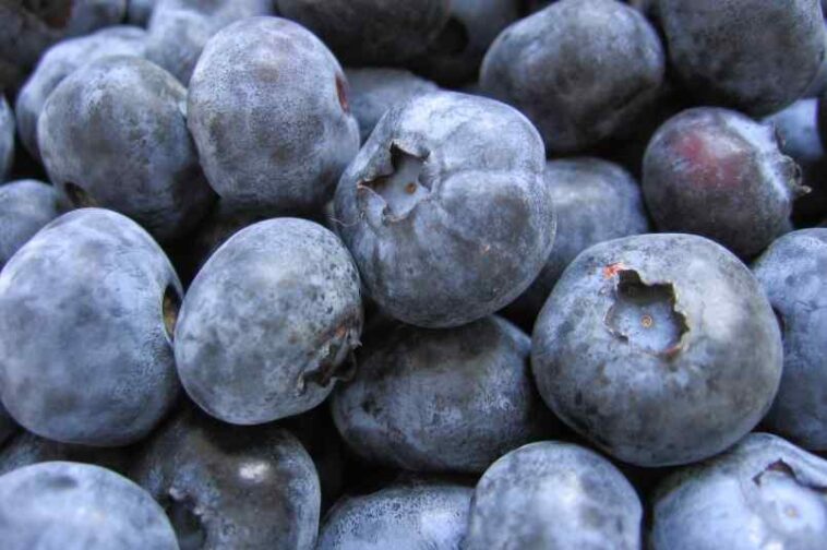 Are blueberries very acidic?
