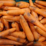Are carrots bad to eat everyday?