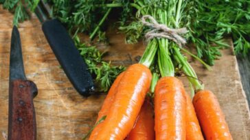 Are carrots digestible?