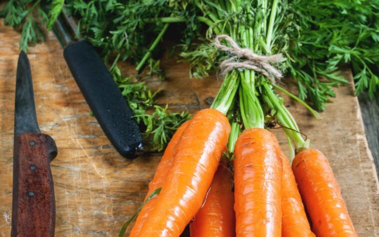 Are carrots digestible?