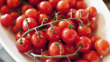 Are cherry tomatoes sweet?