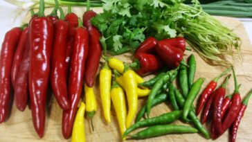 Are chillies healthy?