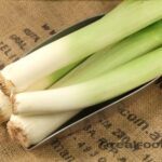 Are cooked onions hard to digest?