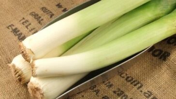 Are cooked onions hard to digest?