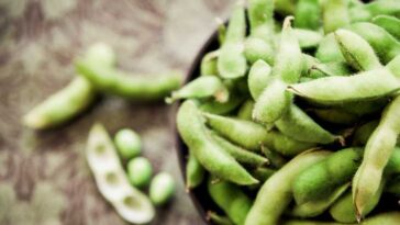 Are edamame good for you?