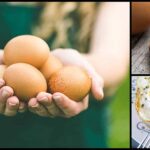 Are eggs OK for diabetics?