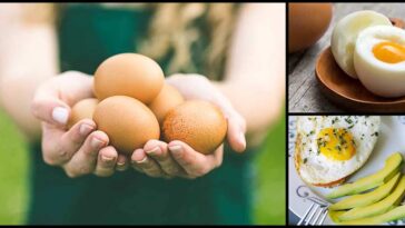 Are eggs OK for diabetics?