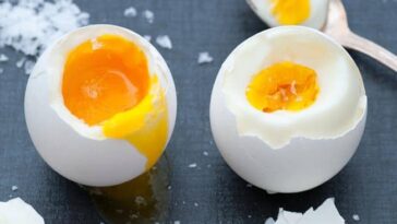 Are eggs considered dairy?