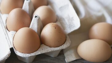 Are eggs good for bloating?