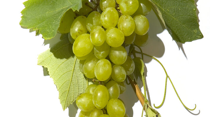 Are grapes OK on Whole30?