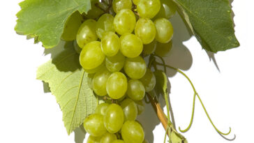 Are grapes OK on Whole30?