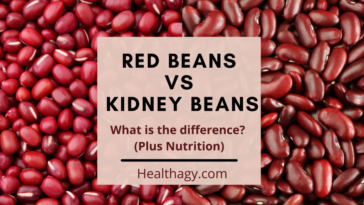Are kidney beans and red beans the same?