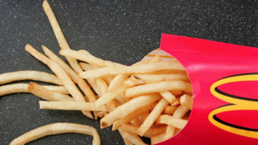 Are maccas fries vegan?