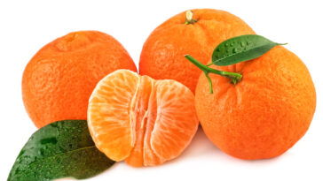 Are mandarin and tangerine the same?