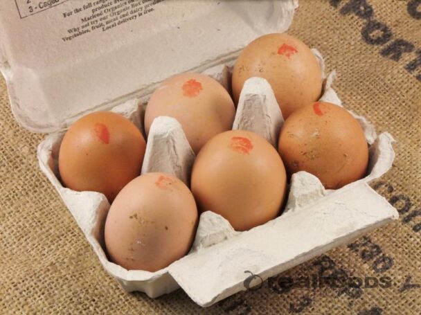 are-organic-eggs-better-than-free-range