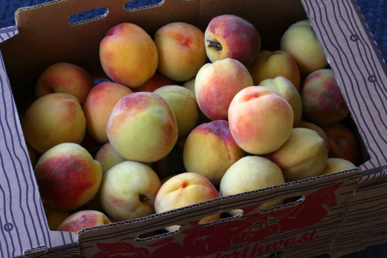 Are peaches high in sugar?