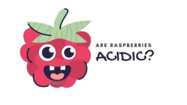 Are raspberries acidic?