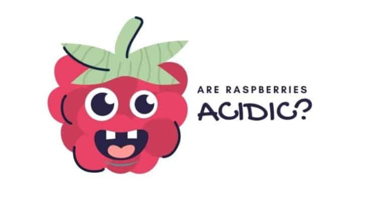 Are raspberries acidic?