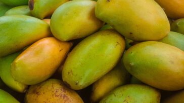 Are raw mangoes acidic?