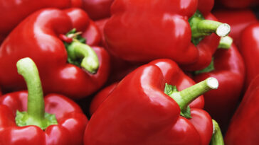Are red bell peppers high in sugar?