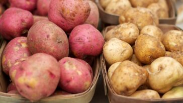 Are red or gold potatoes healthier?