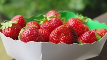 Are strawberries sweet?