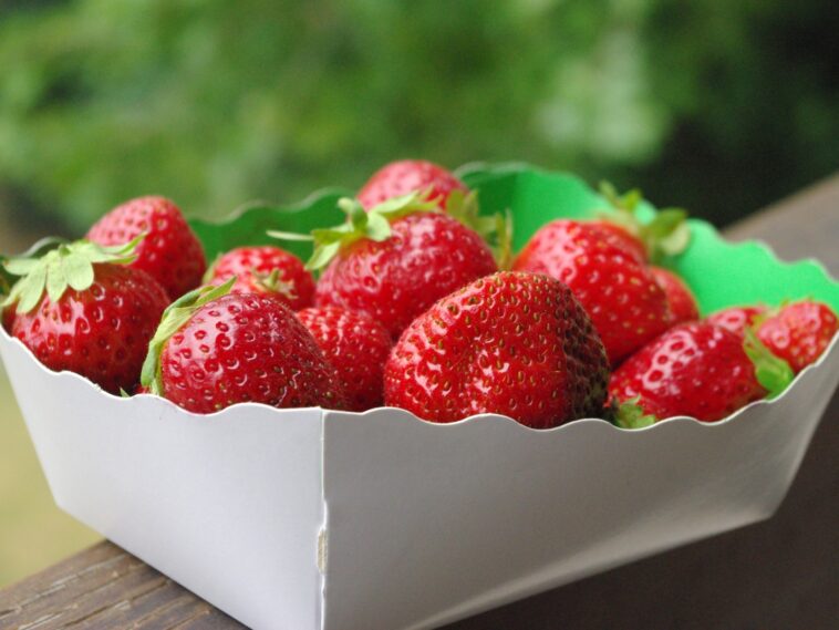 Are strawberries sweet?