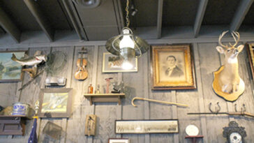 Are the deer heads in Cracker Barrel real?