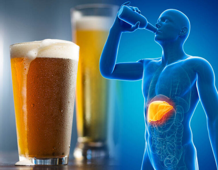 Can 3 beers a day cause liver damage?