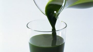 Can I drink chlorophyll twice a day?