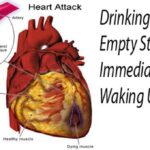 Can I drink wine on an empty stomach?