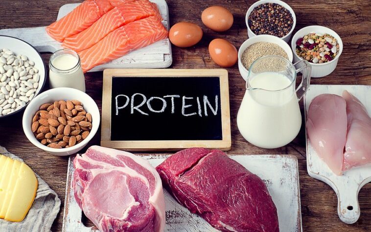 Can I eat 40 grams of protein per meal?