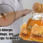 Can I eat honey if I'm allergic to bees?