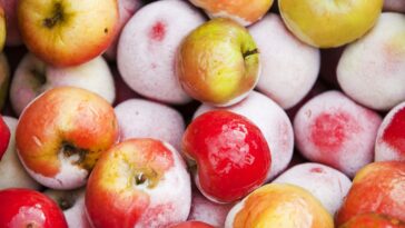 Can I freeze apples?