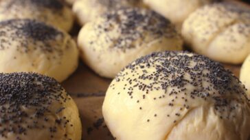 Can I freeze bread dough?